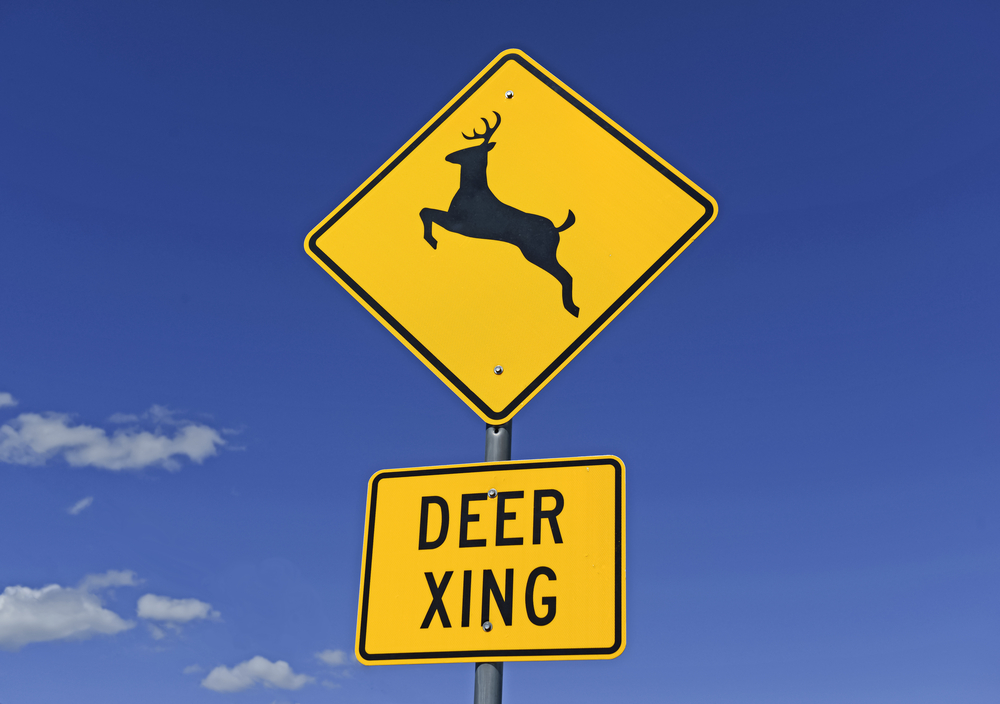 Deer Crossing Sign with white clouds in blue sky